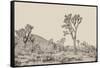 Joshua Tree II Neutral-Elizabeth Urquhart-Framed Stretched Canvas