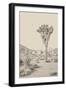 Joshua Tree III Neutral-Elizabeth Urquhart-Framed Photographic Print