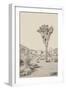 Joshua Tree III Neutral-Elizabeth Urquhart-Framed Photographic Print