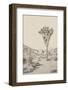 Joshua Tree III Neutral-Elizabeth Urquhart-Framed Photographic Print