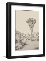 Joshua Tree III Neutral-Elizabeth Urquhart-Framed Photographic Print