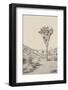 Joshua Tree III Neutral-Elizabeth Urquhart-Framed Photographic Print