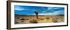 Joshua Tree in a Desert, Mojave Desert, California, USA-null-Framed Premium Photographic Print