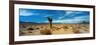 Joshua Tree in a Desert, Mojave Desert, California, USA-null-Framed Photographic Print