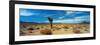 Joshua Tree in a Desert, Mojave Desert, California, USA-null-Framed Photographic Print