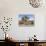 Joshua Tree, Joshua Tree National Park, California, USA-Luc Novovitch-Framed Photographic Print displayed on a wall