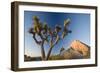 Joshua Tree National Park at Dawn, California, United States of America, North America-Ben Pipe-Framed Photographic Print