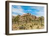 Joshua Tree National Park, California - Blue Sky and Rocks-Lantern Press-Framed Art Print