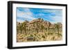 Joshua Tree National Park, California - Blue Sky and Rocks-Lantern Press-Framed Art Print