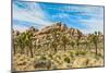 Joshua Tree National Park, California - Blue Sky and Rocks-Lantern Press-Mounted Art Print