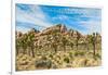 Joshua Tree National Park, California - Blue Sky and Rocks-Lantern Press-Framed Art Print