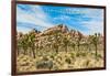 Joshua Tree National Park, California - Blue Sky and Rocks-Lantern Press-Framed Art Print