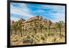 Joshua Tree National Park, California - Blue Sky and Rocks-Lantern Press-Framed Art Print