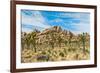 Joshua Tree National Park, California - Blue Sky and Rocks-Lantern Press-Framed Art Print