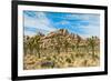 Joshua Tree National Park, California - Blue Sky and Rocks-Lantern Press-Framed Art Print