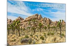 Joshua Tree National Park, California - Blue Sky and Rocks-Lantern Press-Mounted Art Print