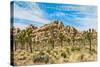 Joshua Tree National Park, California - Blue Sky and Rocks-Lantern Press-Stretched Canvas