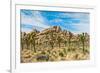 Joshua Tree National Park, California - Blue Sky and Rocks-Lantern Press-Framed Premium Giclee Print