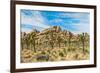 Joshua Tree National Park, California - Blue Sky and Rocks-Lantern Press-Framed Premium Giclee Print