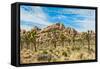 Joshua Tree National Park, California - Blue Sky and Rocks-Lantern Press-Framed Stretched Canvas