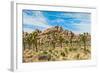 Joshua Tree National Park, California - Blue Sky and Rocks-Lantern Press-Framed Art Print