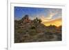 Joshua Tree National Park, California - Sunrise-Lantern Press-Framed Art Print