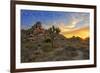 Joshua Tree National Park, California - Sunrise-Lantern Press-Framed Art Print