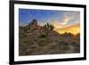 Joshua Tree National Park, California - Sunrise-Lantern Press-Framed Art Print