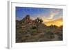 Joshua Tree National Park, California - Sunrise-Lantern Press-Framed Art Print