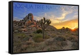 Joshua Tree National Park, California - Sunrise-Lantern Press-Framed Stretched Canvas