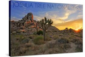 Joshua Tree National Park, California - Sunrise-Lantern Press-Stretched Canvas