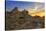 Joshua Tree National Park, California - Sunrise-Lantern Press-Stretched Canvas