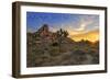 Joshua Tree National Park, California - Sunrise-Lantern Press-Framed Art Print