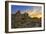 Joshua Tree National Park, California - Sunrise-Lantern Press-Framed Art Print