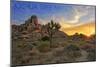 Joshua Tree National Park, California - Sunrise-Lantern Press-Mounted Art Print