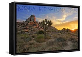 Joshua Tree National Park, California - Sunrise-Lantern Press-Framed Stretched Canvas