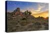 Joshua Tree National Park, California - Sunrise-Lantern Press-Stretched Canvas