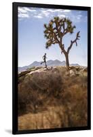 Joshua Tree National Park, California, USA: A Male Runner Running Along Behind A Joshua Tree-Axel Brunst-Framed Photographic Print