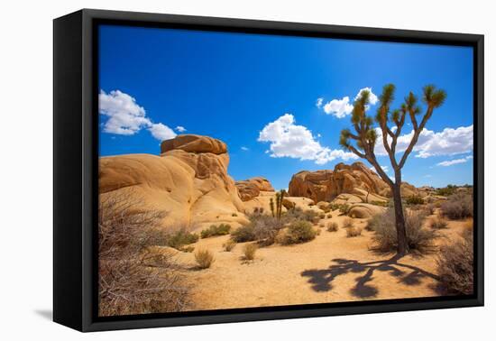 Joshua Tree National Park Jumbo Rocks in Yucca Valley Mohave Desert California USA-holbox-Framed Stretched Canvas
