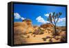 Joshua Tree National Park Jumbo Rocks in Yucca Valley Mohave Desert California USA-holbox-Framed Stretched Canvas