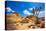 Joshua Tree National Park Jumbo Rocks in Yucca Valley Mohave Desert California USA-holbox-Stretched Canvas