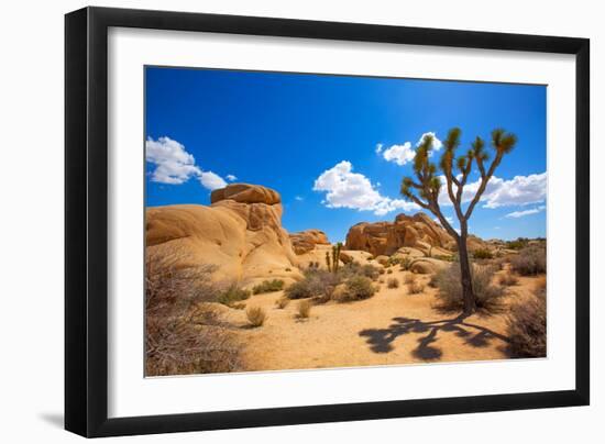 Joshua Tree National Park Jumbo Rocks in Yucca Valley Mohave Desert California USA-holbox-Framed Premium Photographic Print