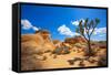 Joshua Tree National Park Jumbo Rocks in Yucca Valley Mohave Desert California USA-holbox-Framed Stretched Canvas