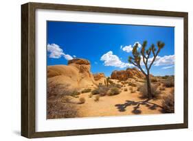 Joshua Tree National Park Jumbo Rocks in Yucca Valley Mohave Desert California USA-holbox-Framed Photographic Print