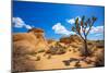 Joshua Tree National Park Jumbo Rocks in Yucca Valley Mohave Desert California USA-holbox-Mounted Photographic Print