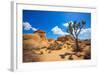 Joshua Tree National Park Jumbo Rocks in Yucca Valley Mohave Desert California USA-holbox-Framed Photographic Print