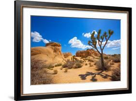 Joshua Tree National Park Jumbo Rocks in Yucca Valley Mohave Desert California USA-holbox-Framed Photographic Print