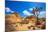 Joshua Tree National Park Jumbo Rocks in Yucca Valley Mohave Desert California USA-holbox-Mounted Photographic Print