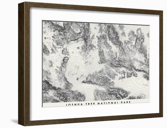Joshua Tree National Park Topographical Print-null-Framed Art Print