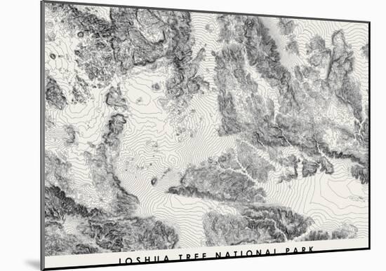 Joshua Tree National Park Topographical Print-null-Mounted Art Print